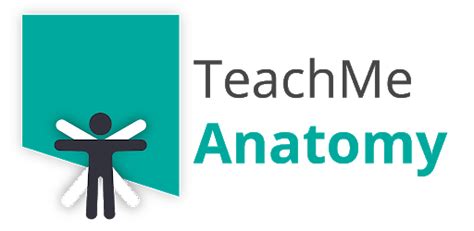 teachmeanatomy|teach me anatomy sign in.